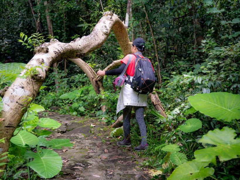 Best Time to Visit Costa Rica: A Month-by-Month Guide photo